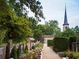 hettstadt_9346