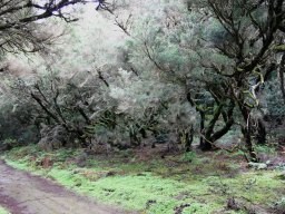 2004-img_0169